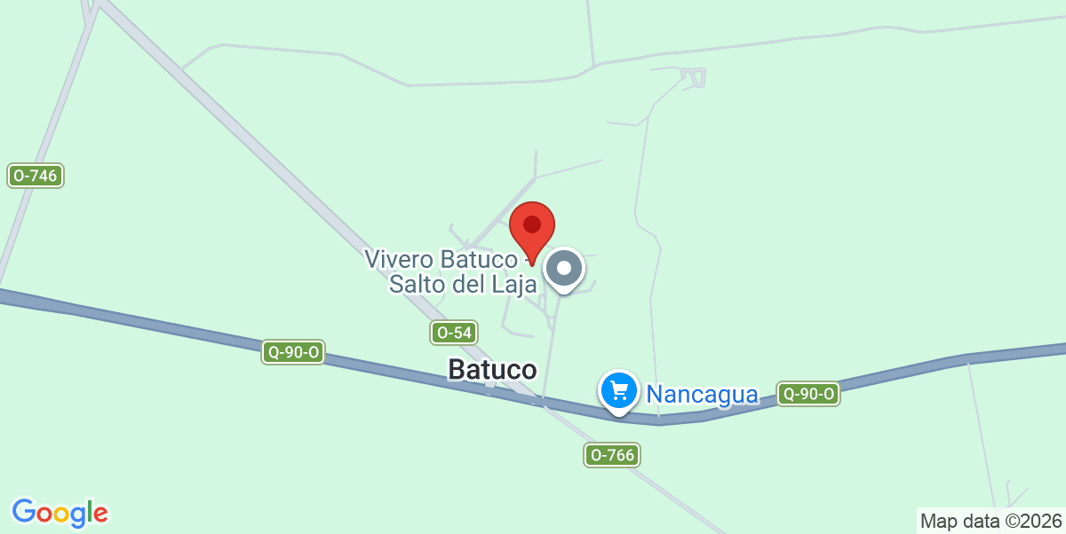 Mapa Estático