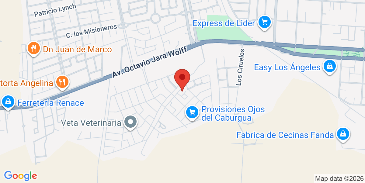 Mapa Estático