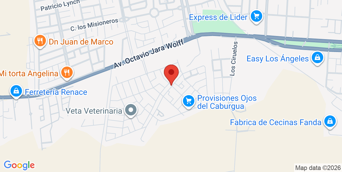 Mapa Estático