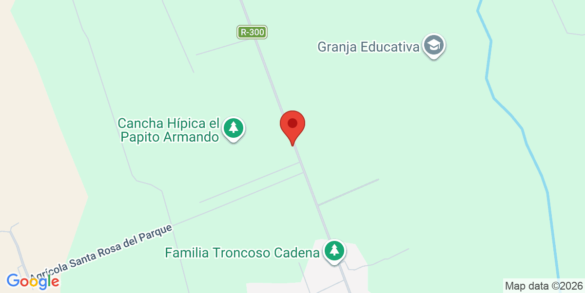 Mapa Estático