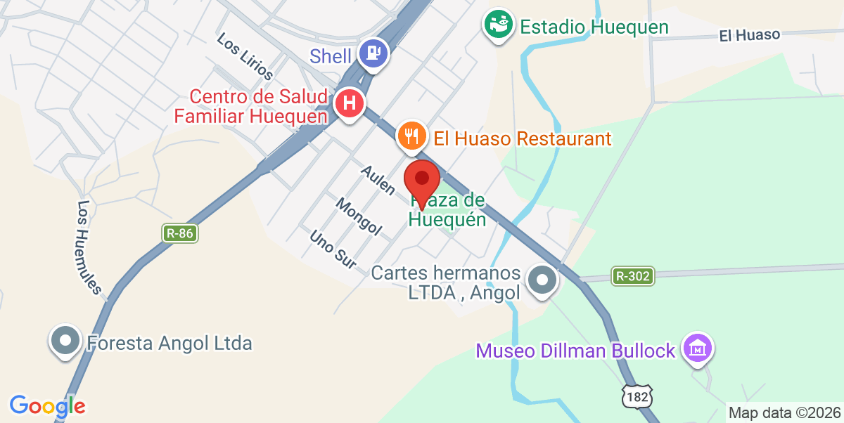 Mapa Estático