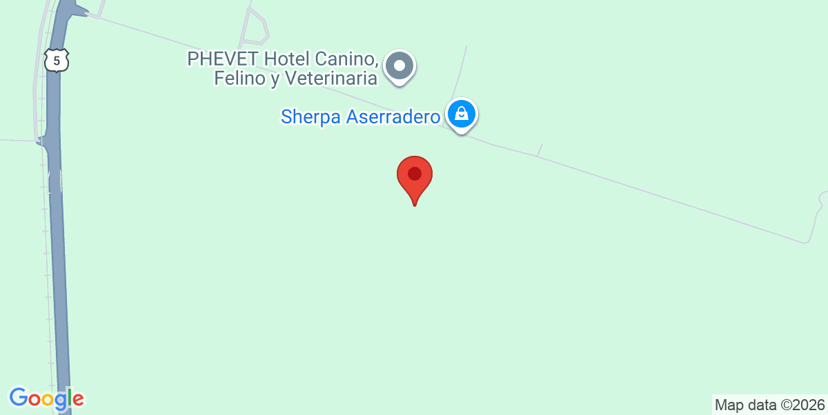 Mapa Estático