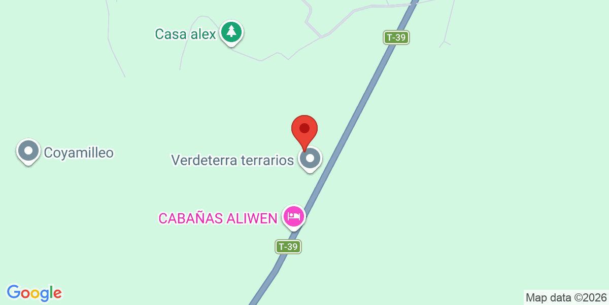 Mapa Estático