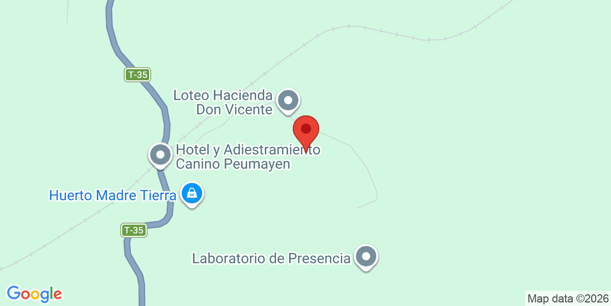 Mapa Estático