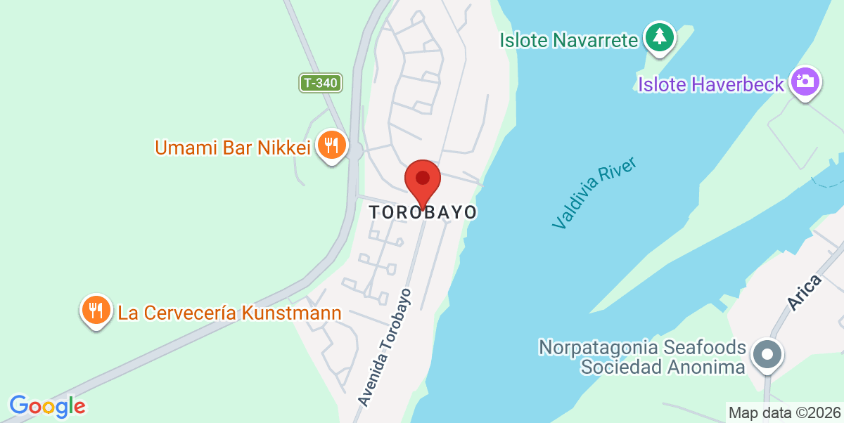 Mapa Estático