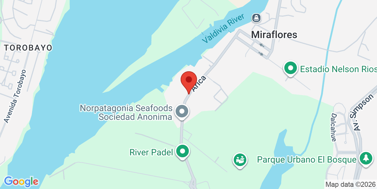 Mapa Estático