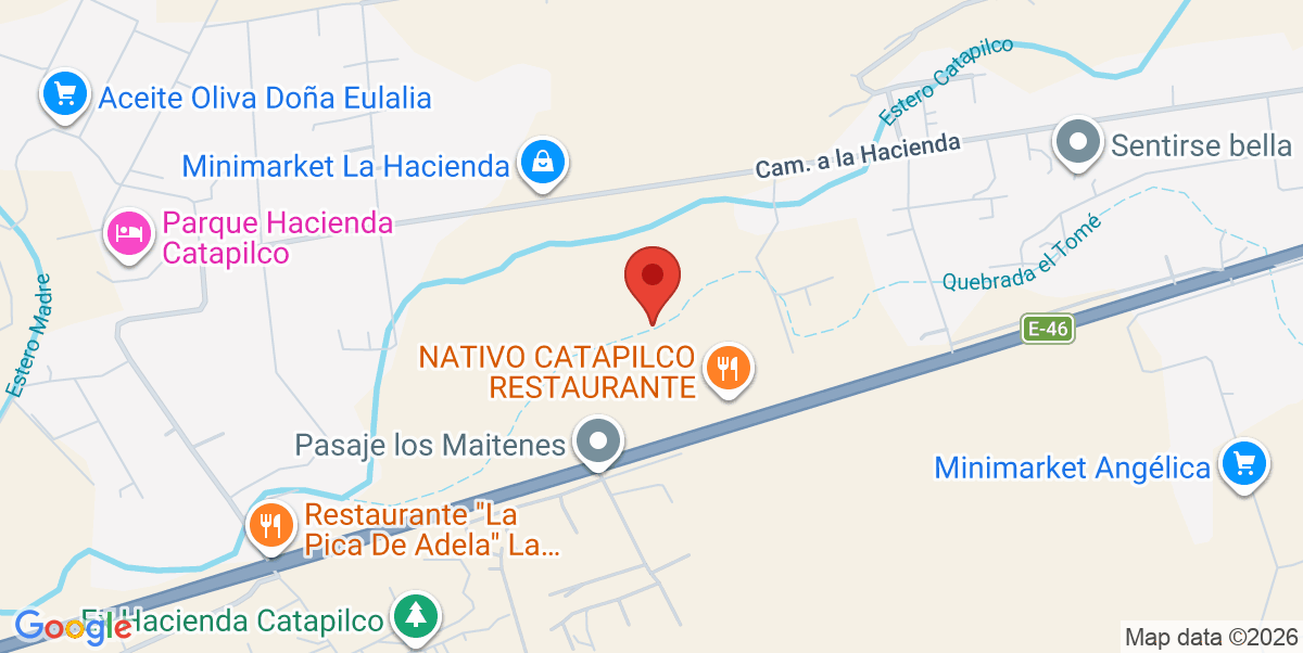 Mapa Estático