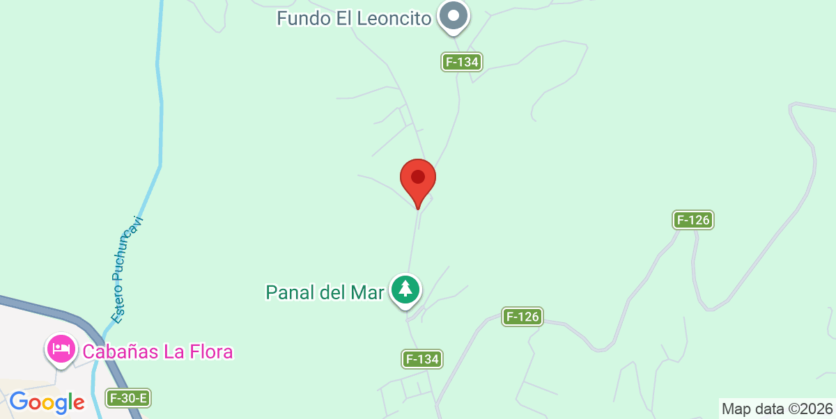 Mapa Estático