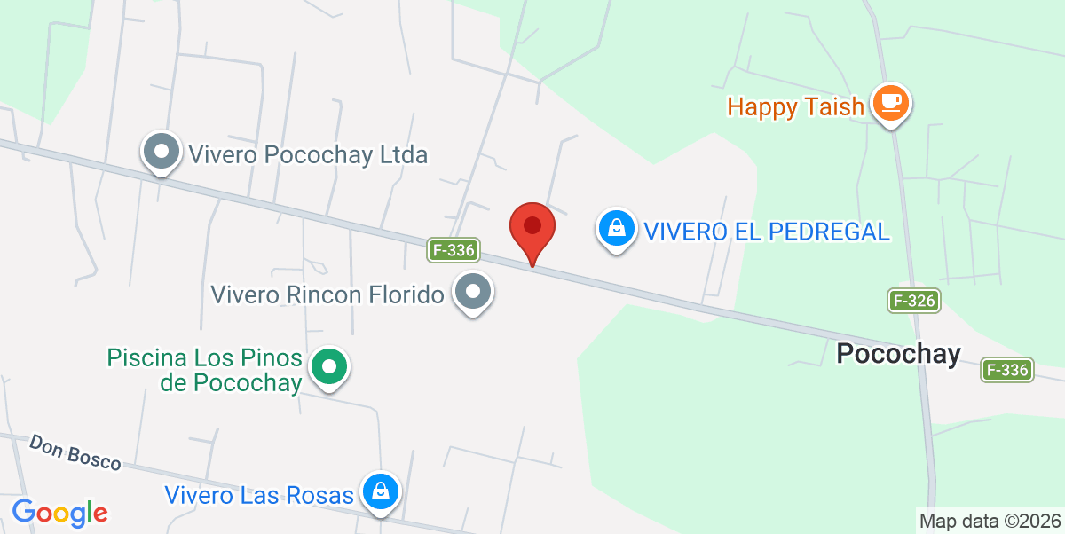 Mapa Estático