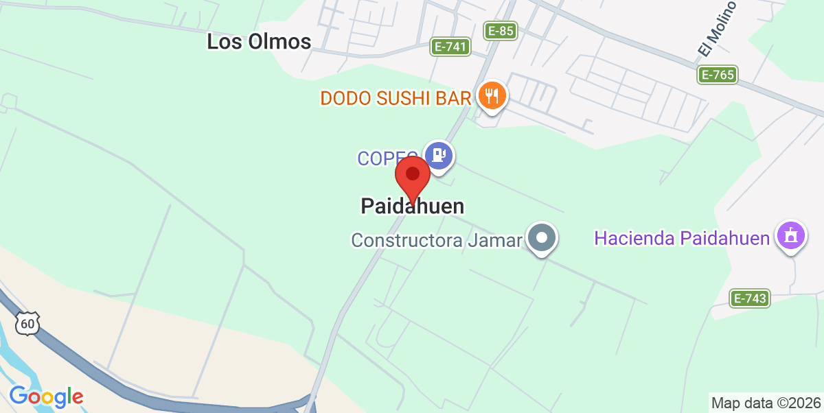 Mapa Estático