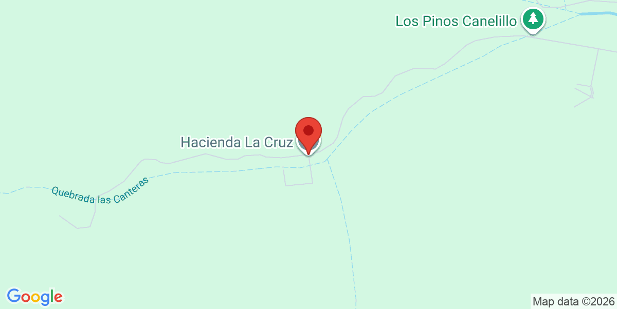 Mapa Estático
