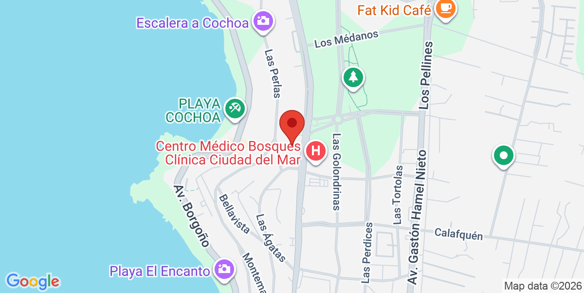 Mapa Estático
