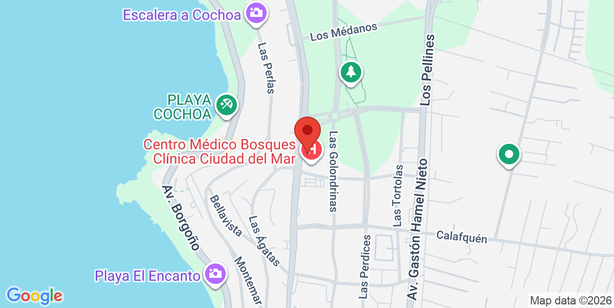 Mapa Estático