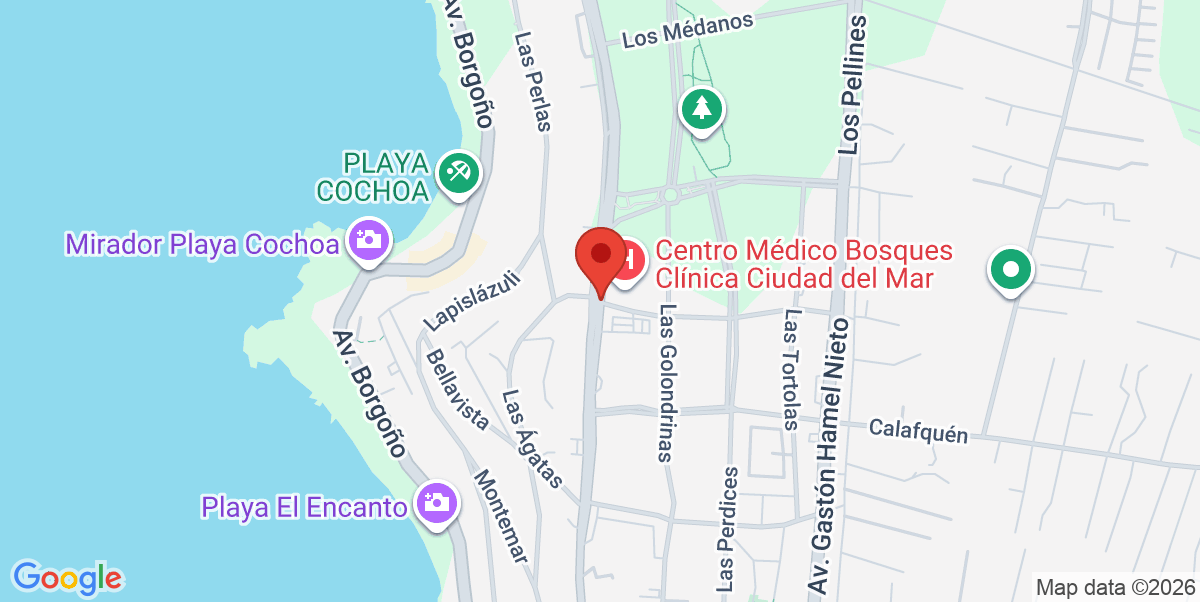 Mapa Estático