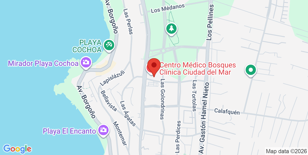Mapa Estático