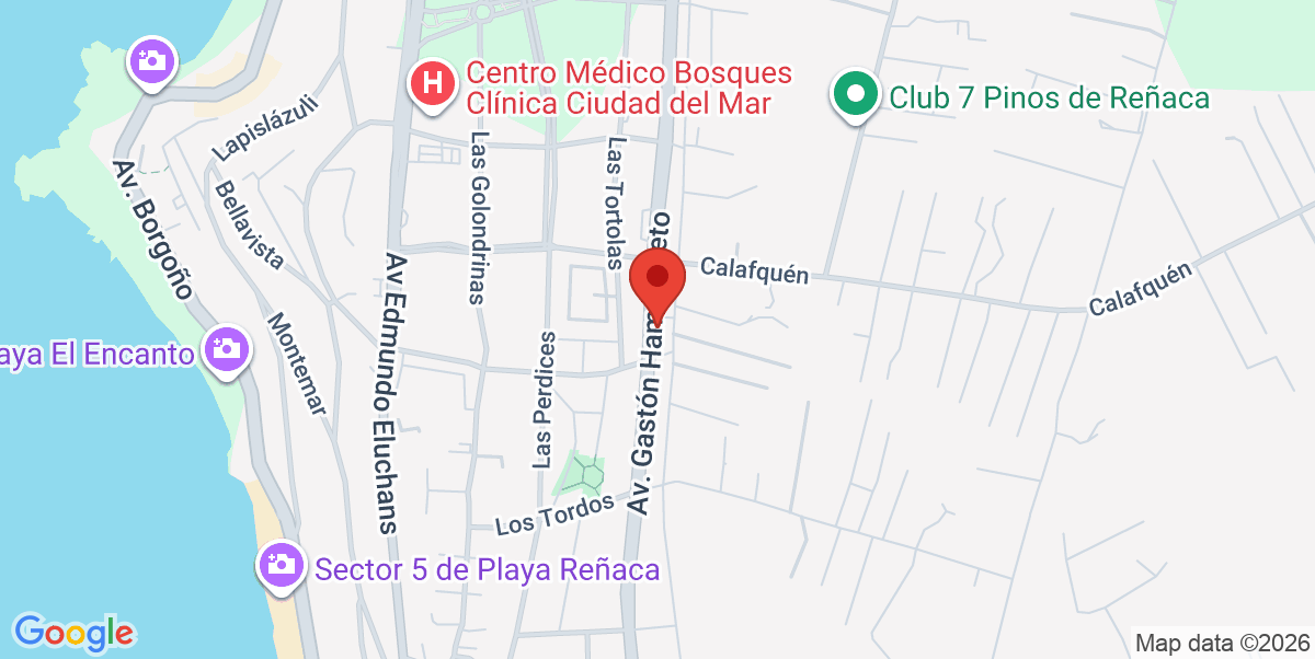 Mapa Estático