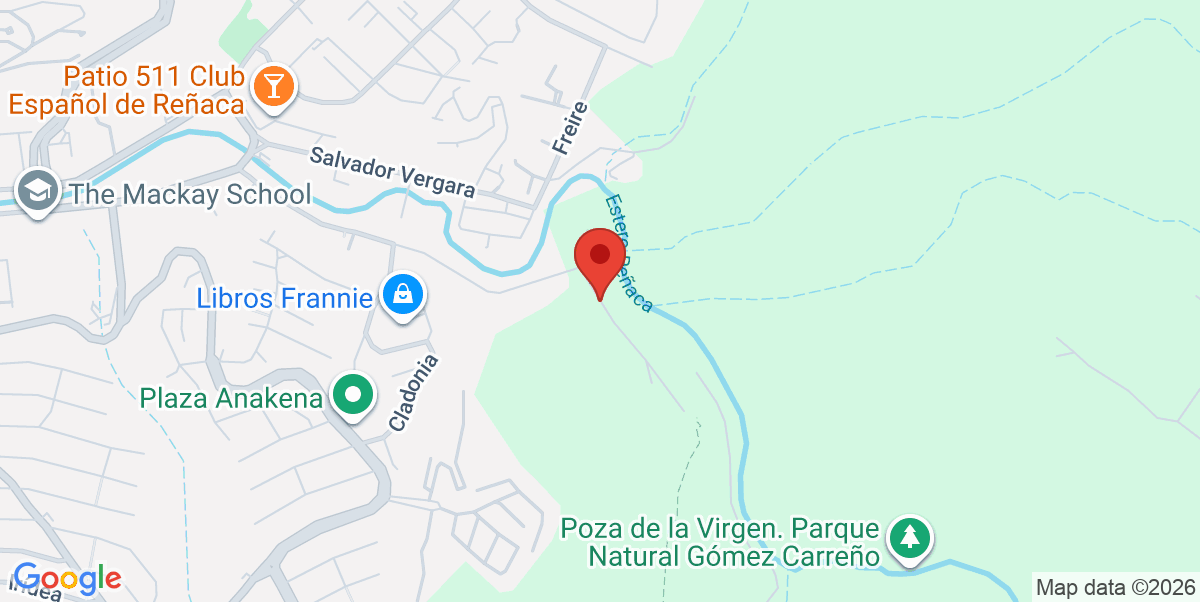 Mapa Estático