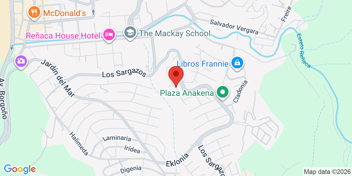 Mapa Estático