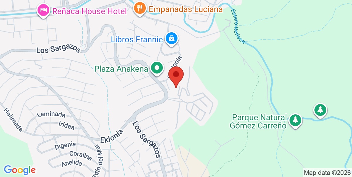 Mapa Estático