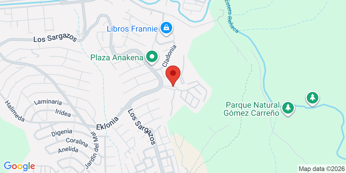 Mapa Estático