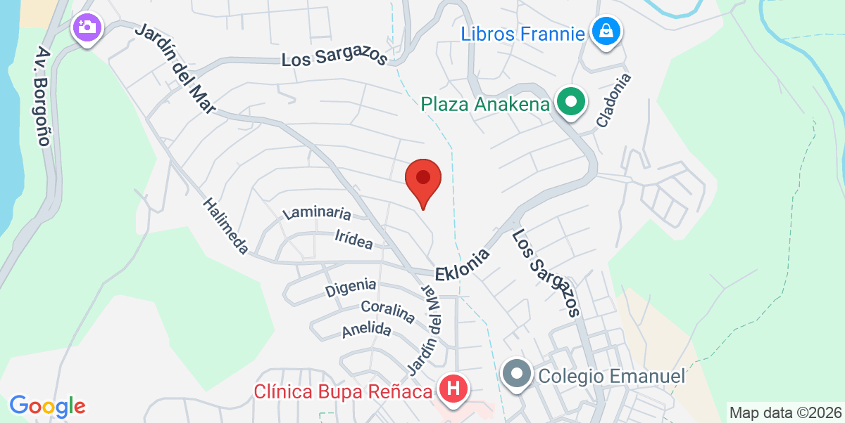 Mapa Estático