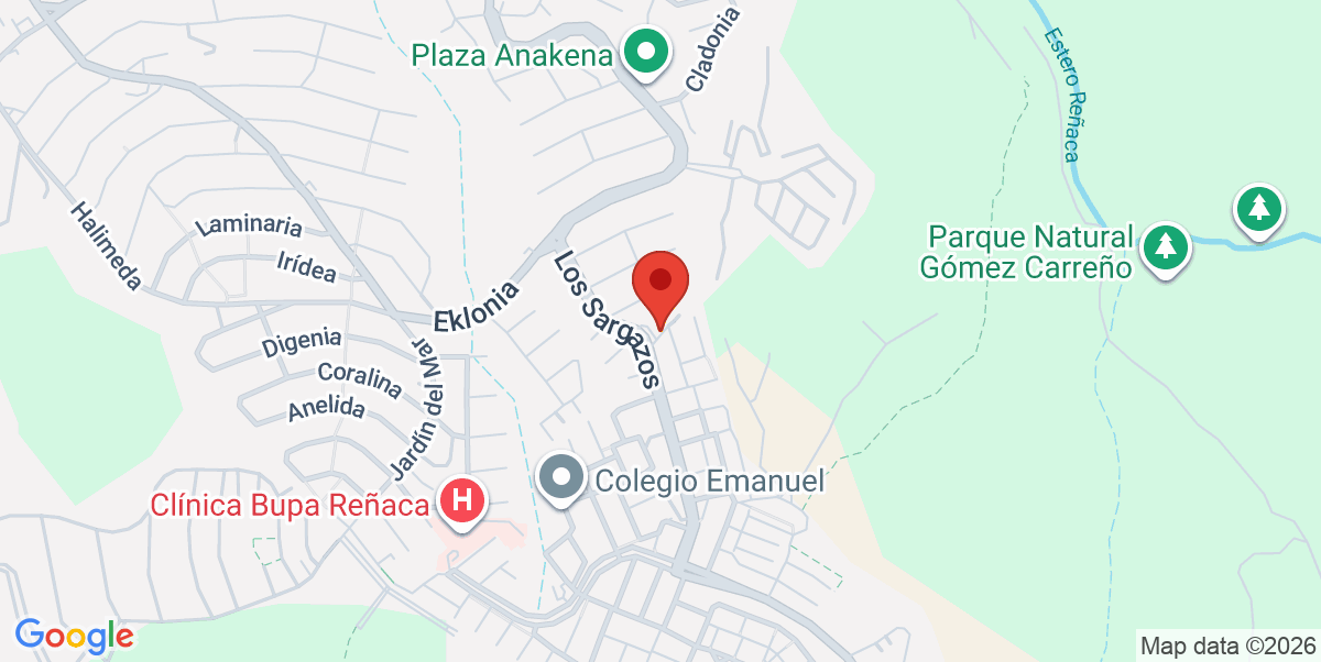 Mapa Estático