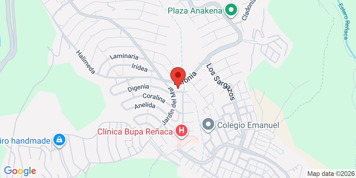 Mapa Estático