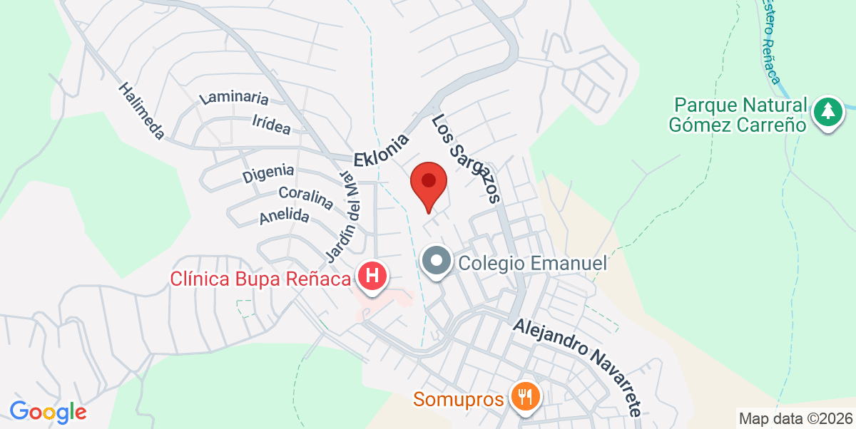 Mapa Estático