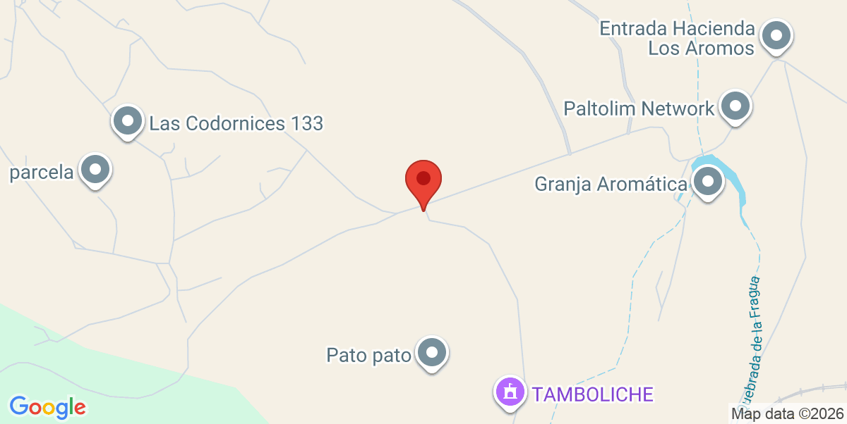 Mapa Estático