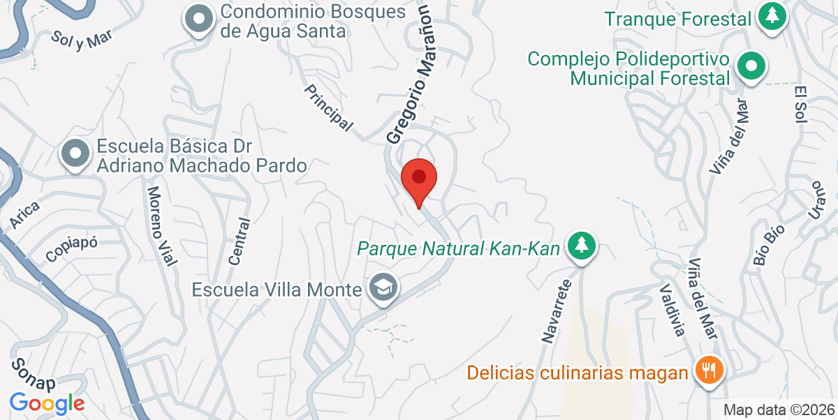 Mapa Estático