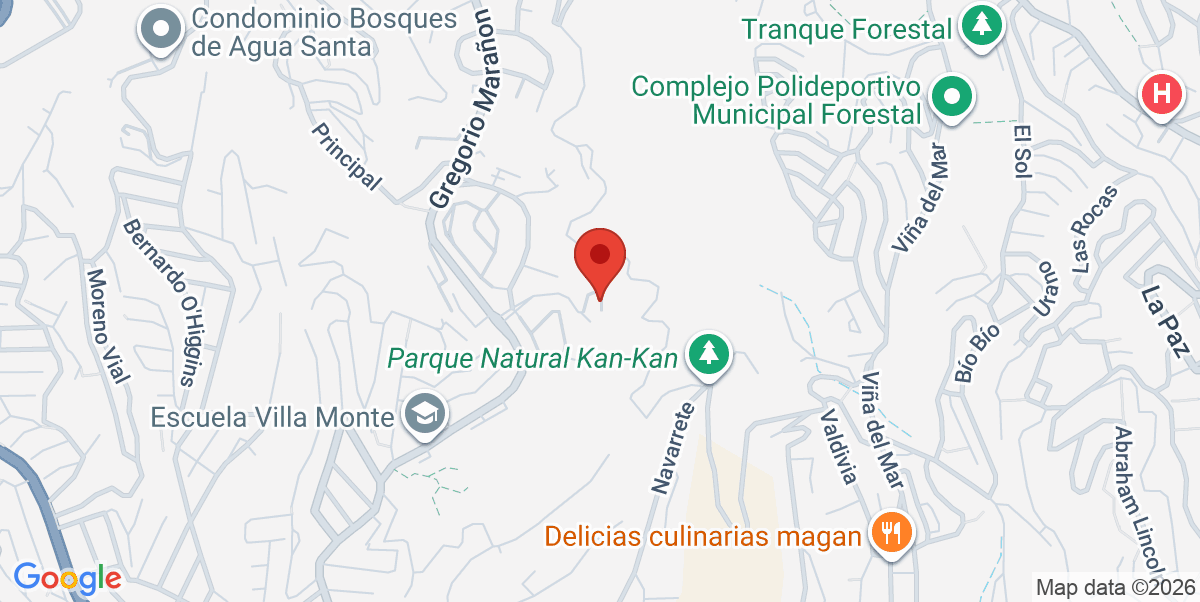 Mapa Estático