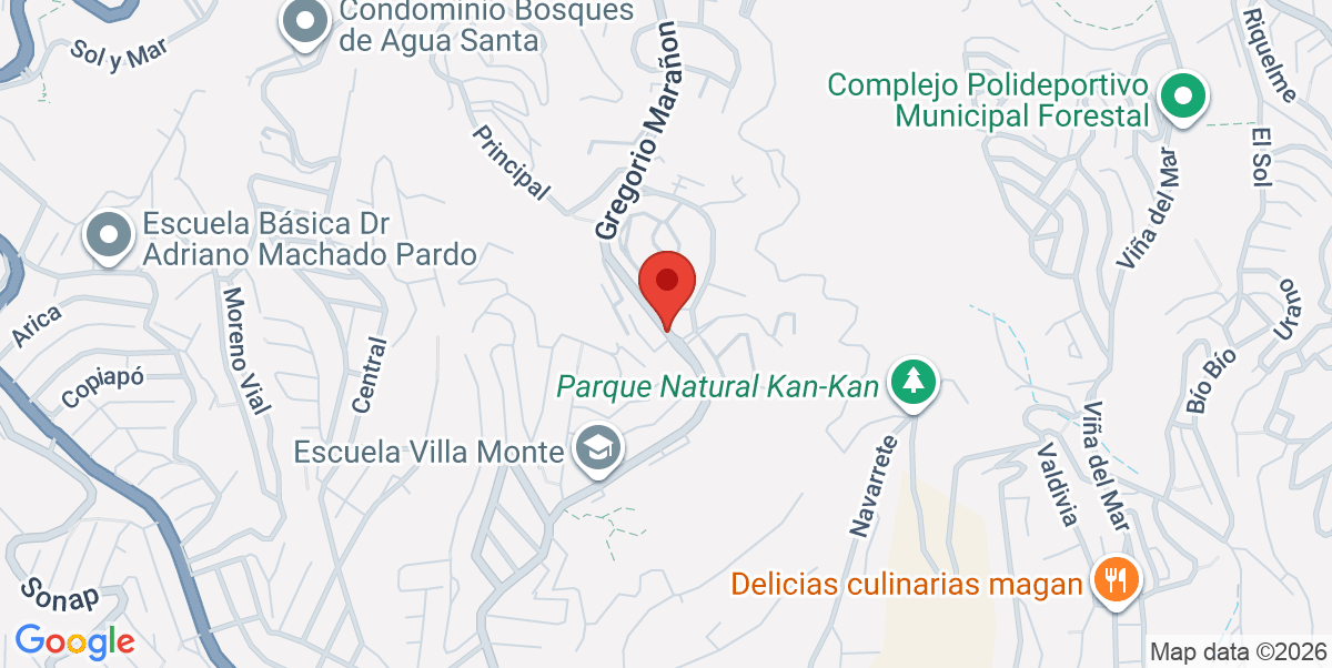 Mapa Estático