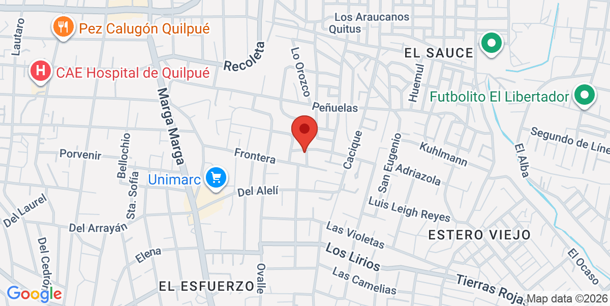 Mapa Estático