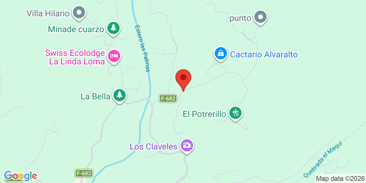 Mapa Estático