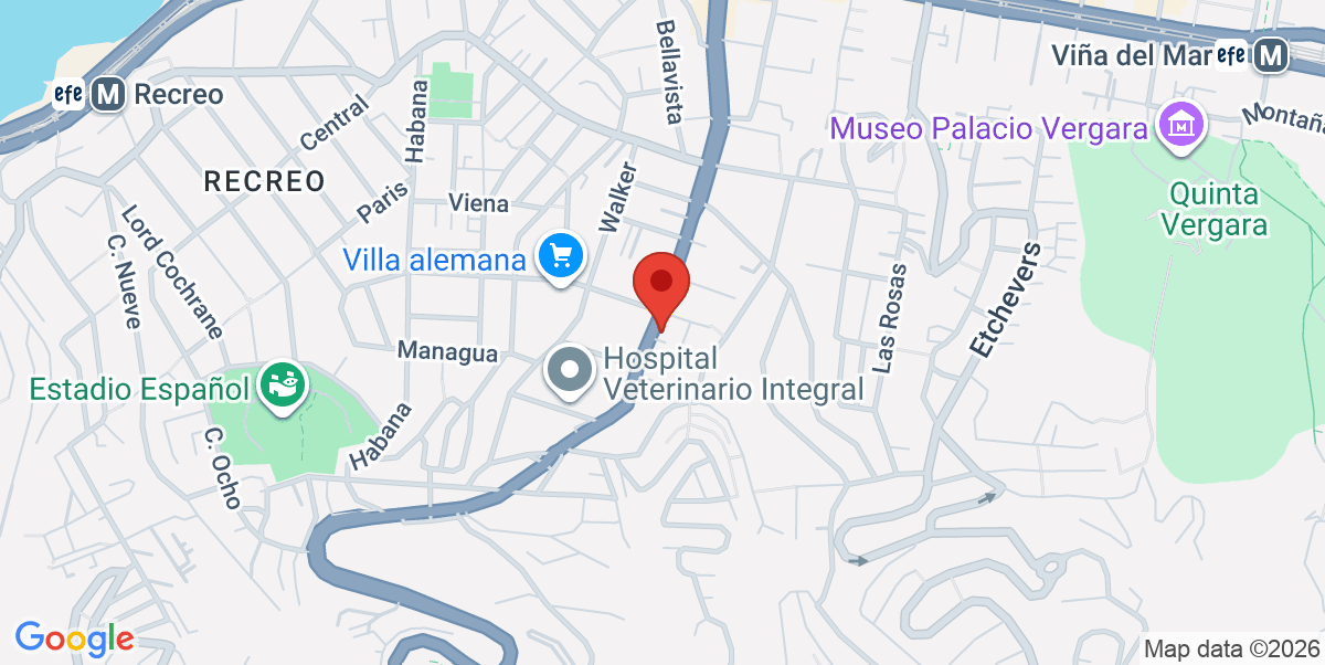Mapa Estático