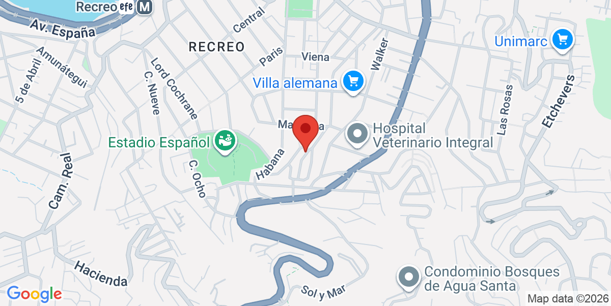 Mapa Estático