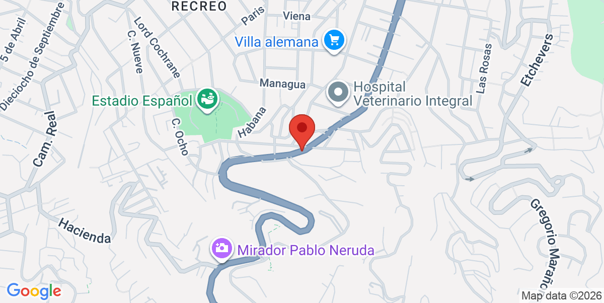 Mapa Estático