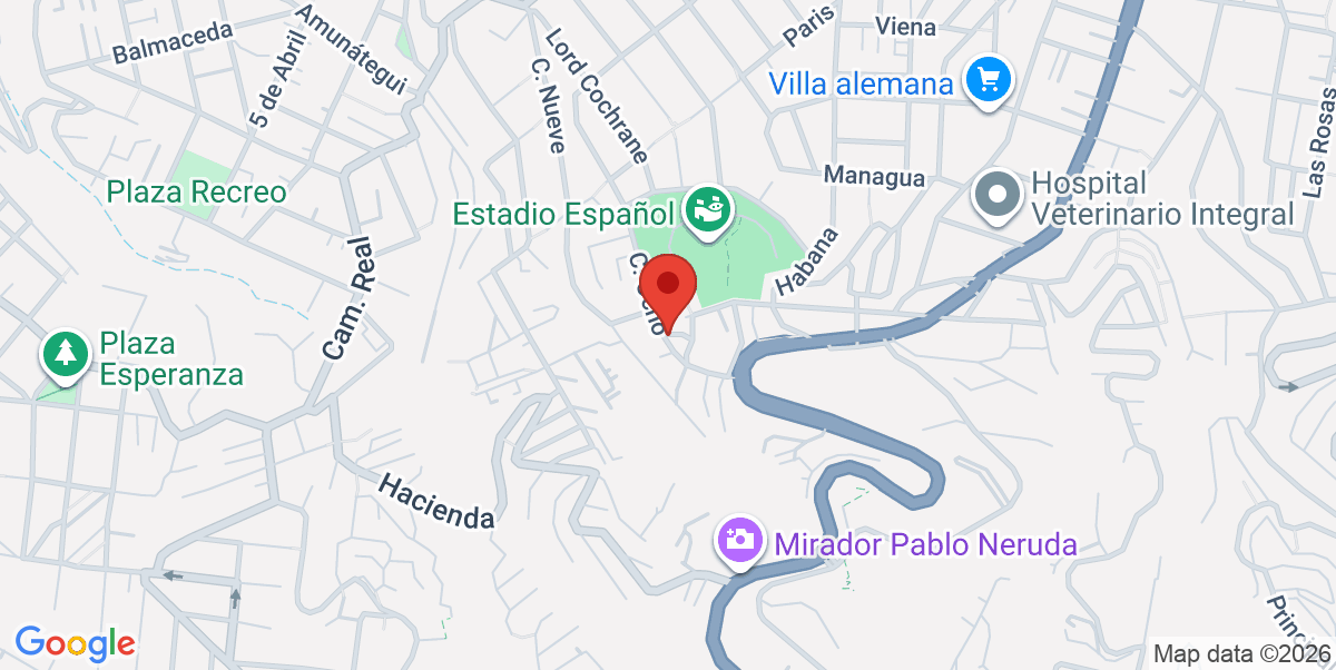 Mapa Estático