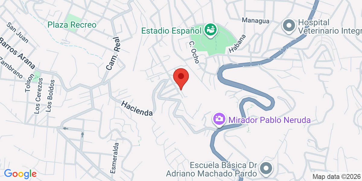 Mapa Estático