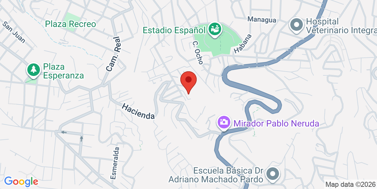 Mapa Estático