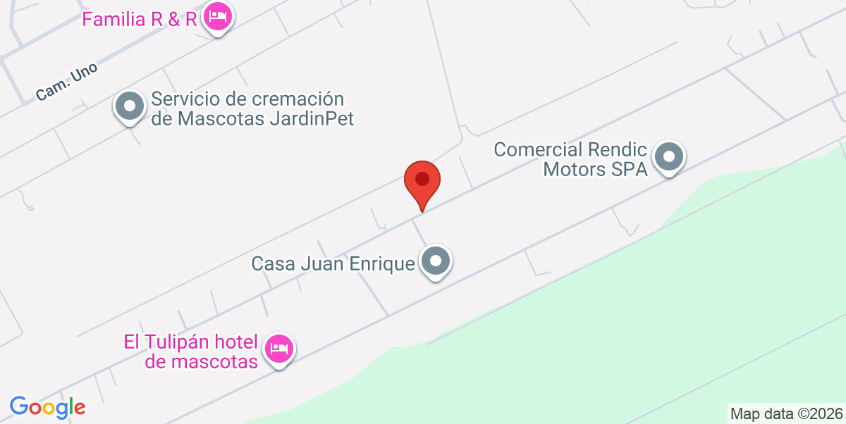 Mapa Estático