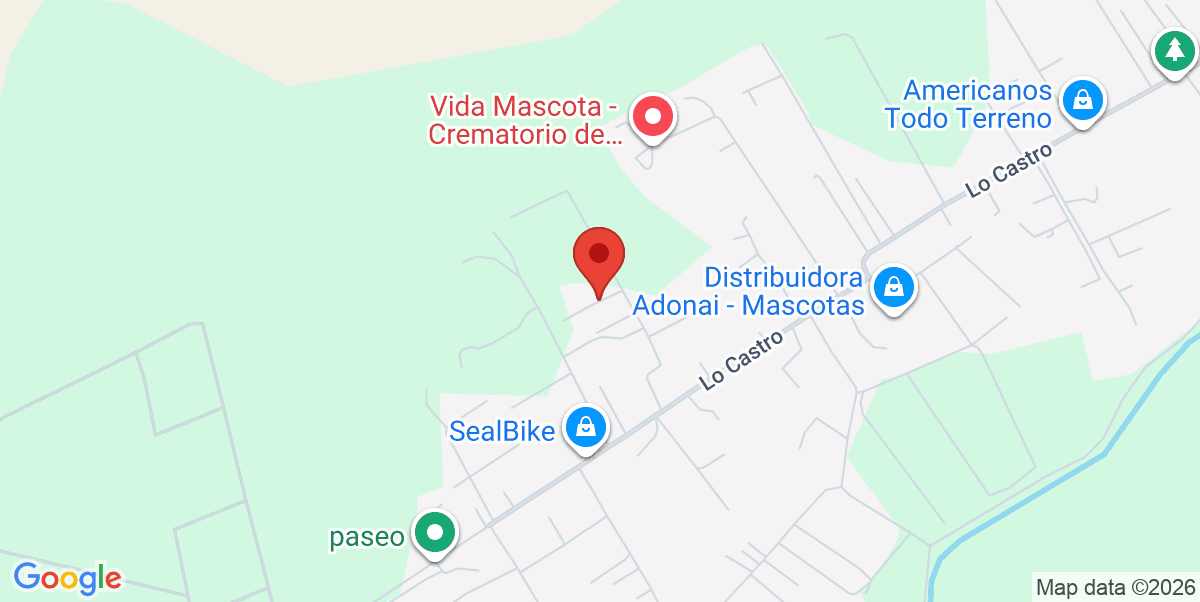 Mapa Estático
