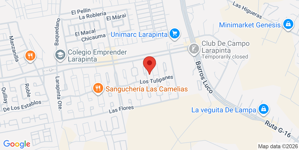 Mapa Estático