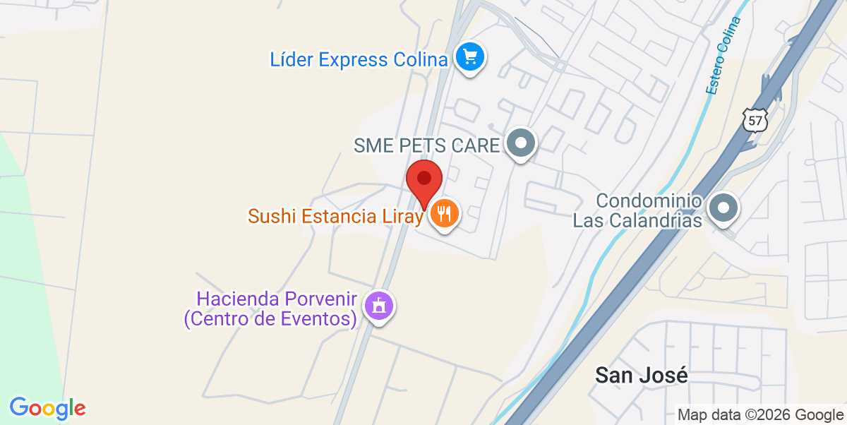 Mapa Estático