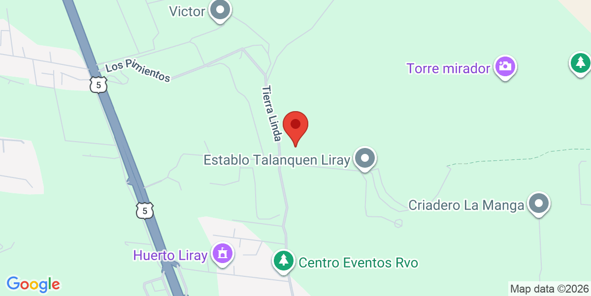 Mapa Estático