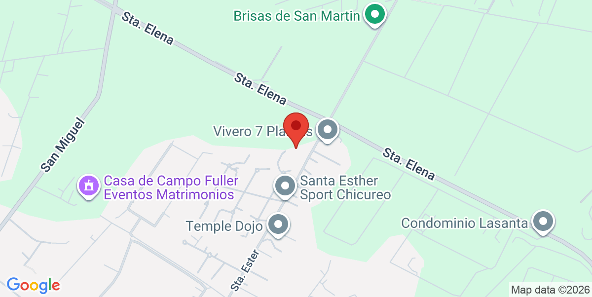 Mapa Estático