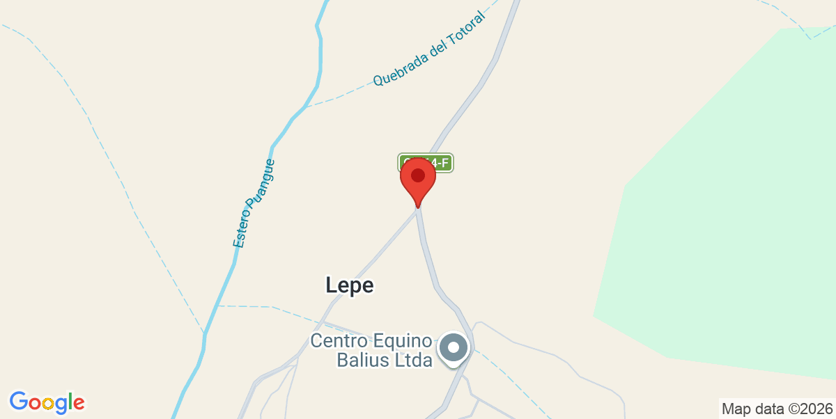 Mapa Estático