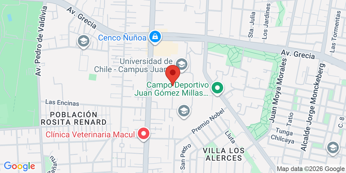 Mapa Estático