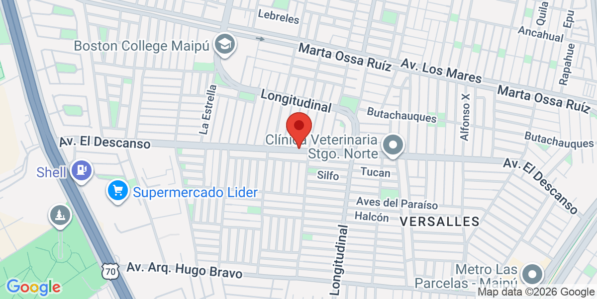 Mapa Estático