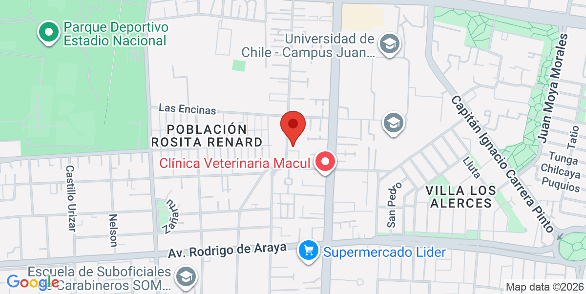 Mapa Estático